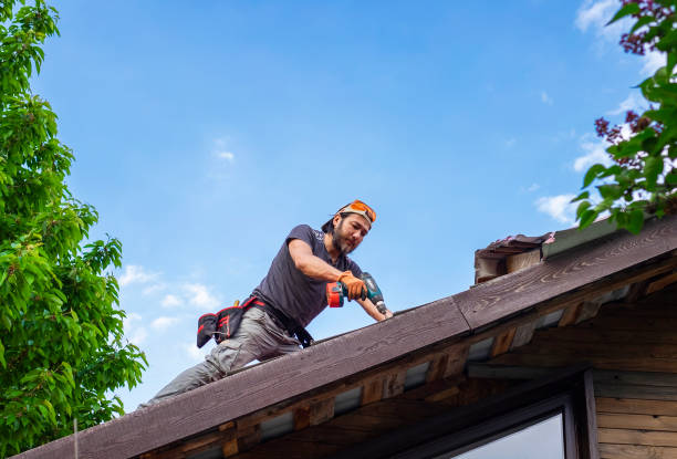 Best Skylight Installation and Repair  in Folsom, PA
