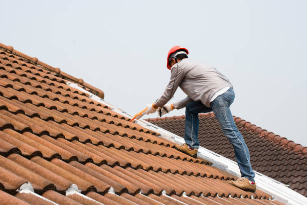 Best Roof Insulation Installation  in Folsom, PA