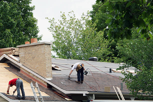 Best Roof Ventilation Installation  in Folsom, PA